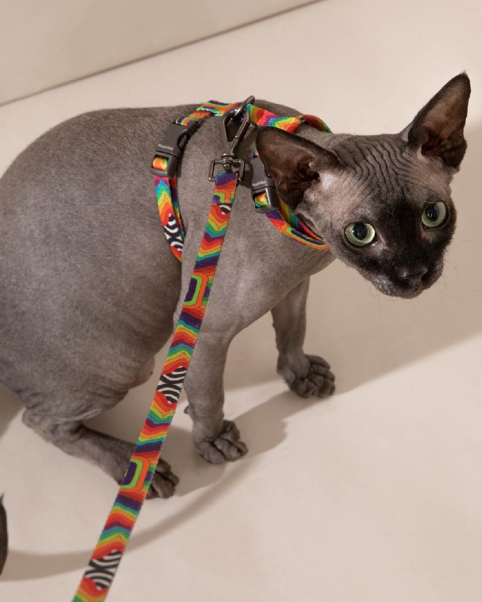 Urban Feline-Cat Leash