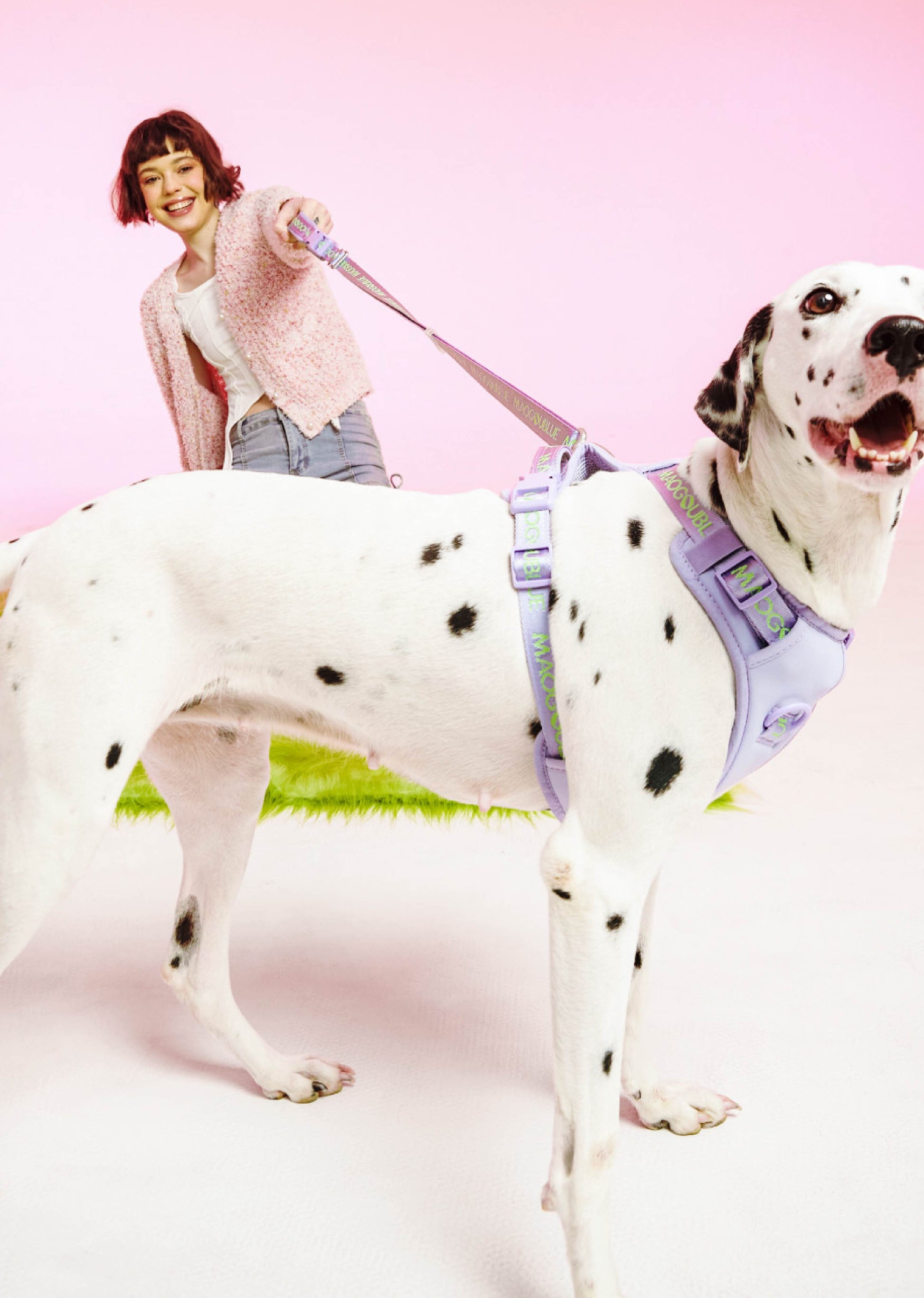 Central Park Harness