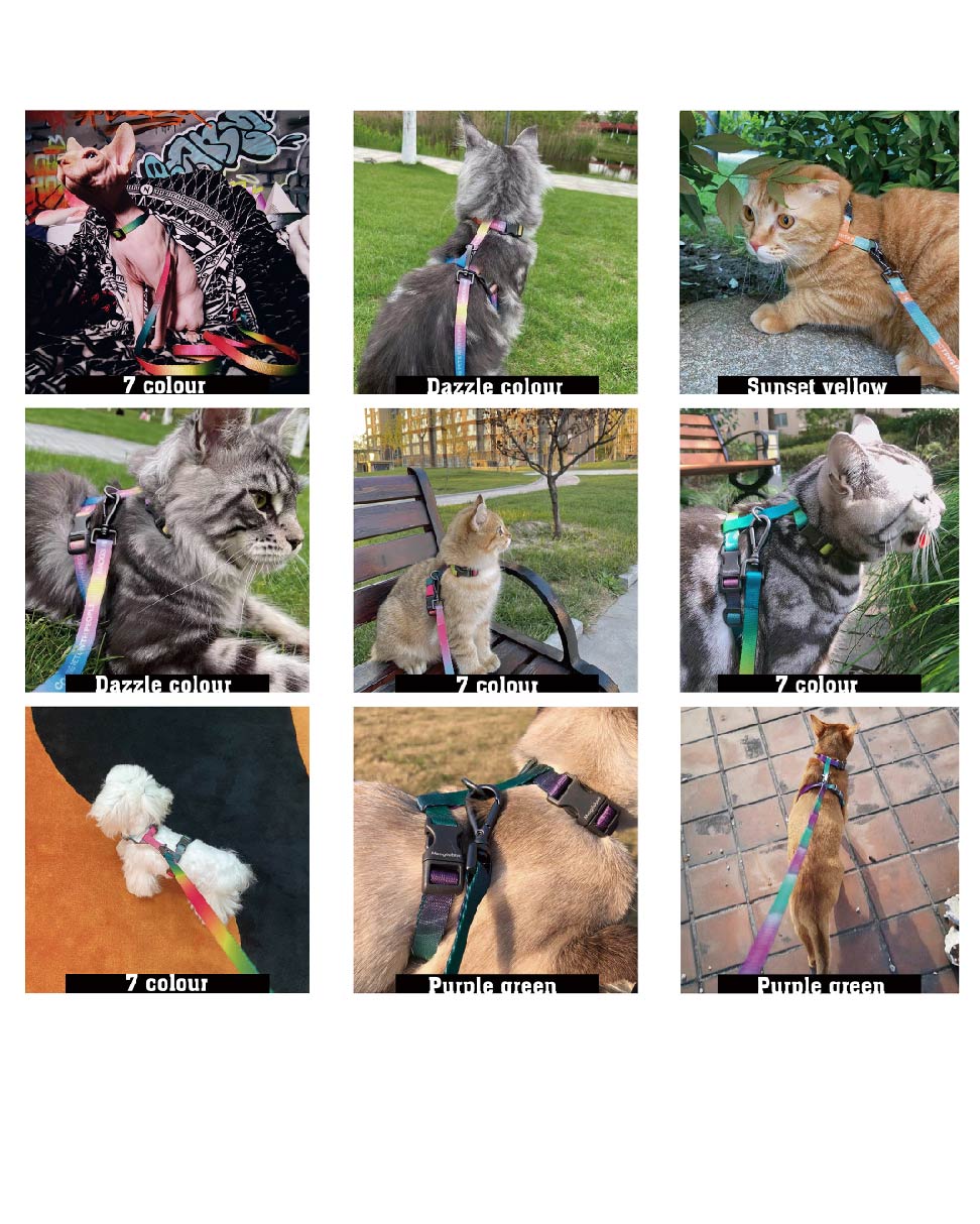 Urban Feline-Cat Leash