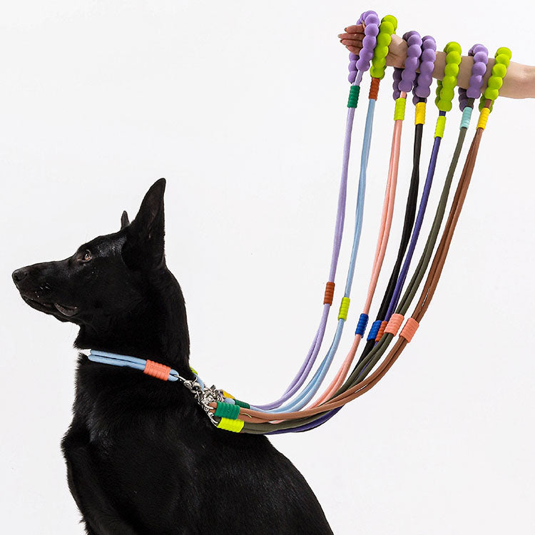 Marshmallow Standard Dog Leash