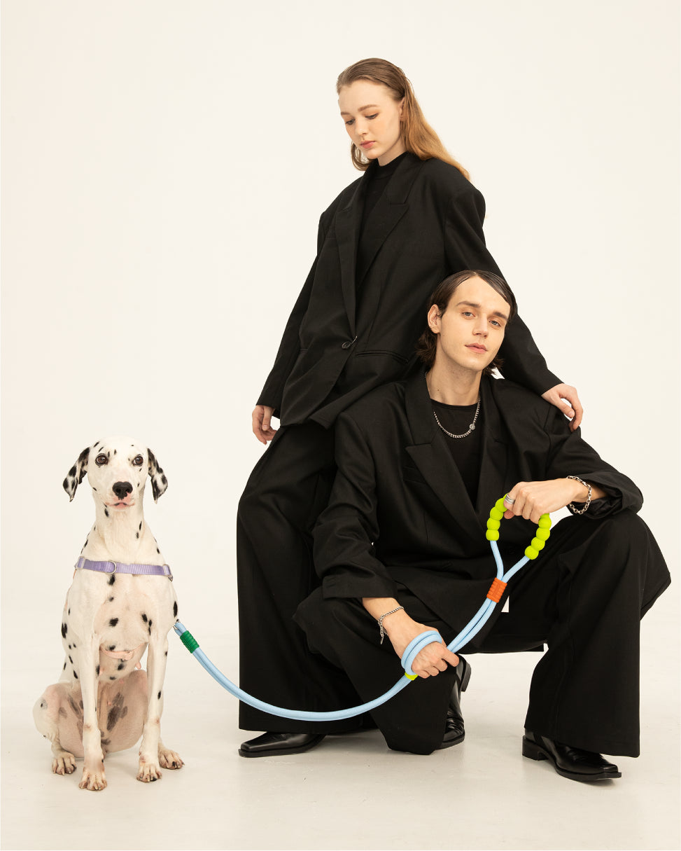 Marshmallow Standard Dog Leash