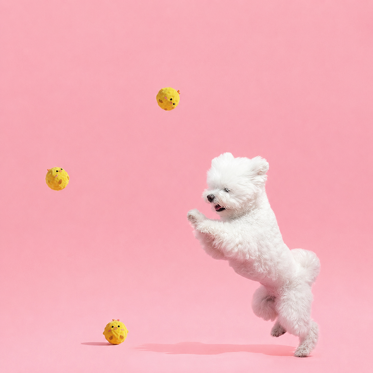 Squeaky Plush Bounce Ball Toy for Small Dogs