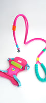 Marshmallow Leash + Central Park Harness