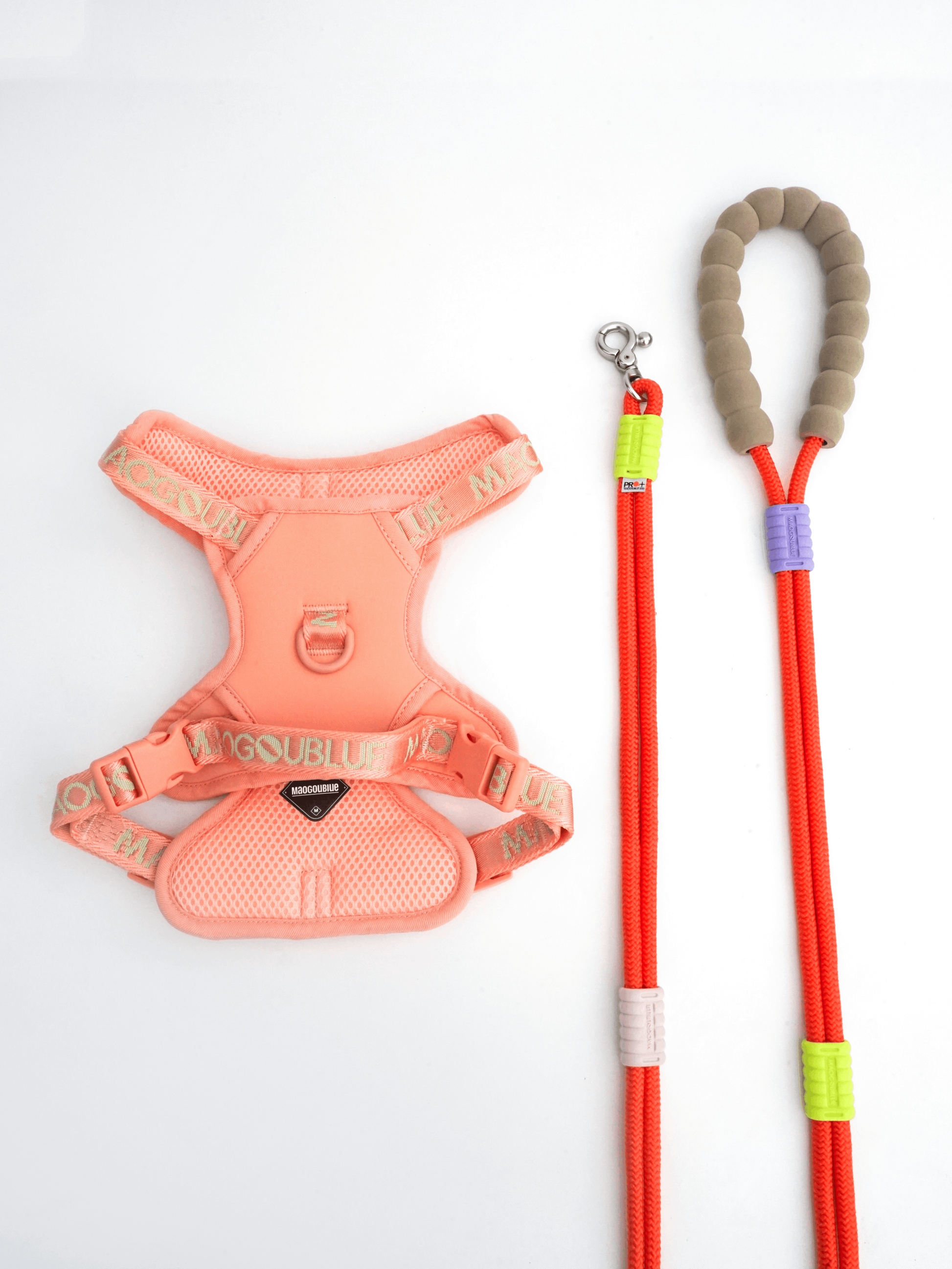 Marshmallow Leash + Central Park Harness