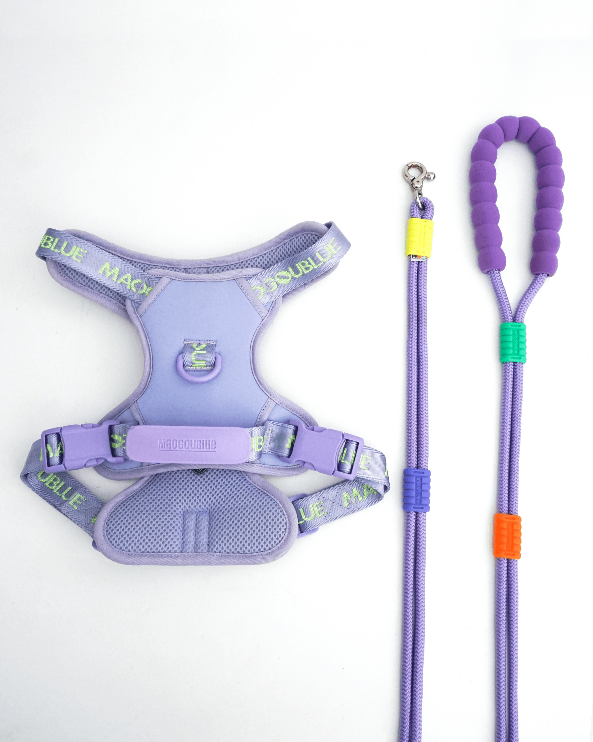 Marshmallow Leash + Central Park Harness