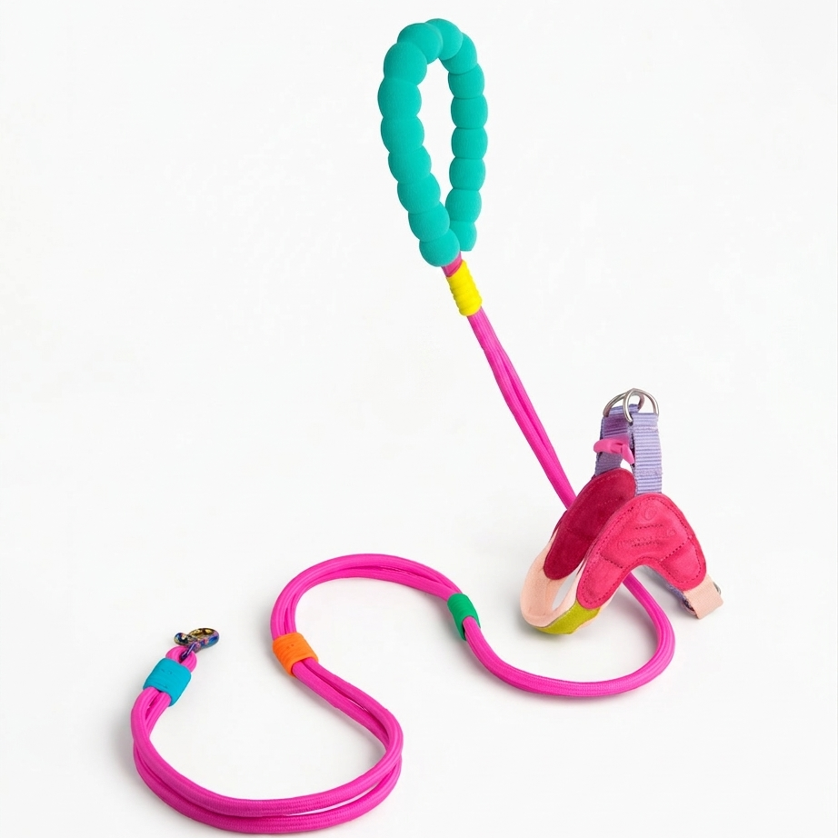 Marshmallow Leash + Island Harness