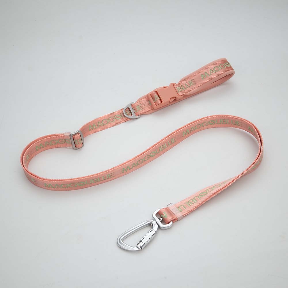 Multi-function Signature Dog Leash