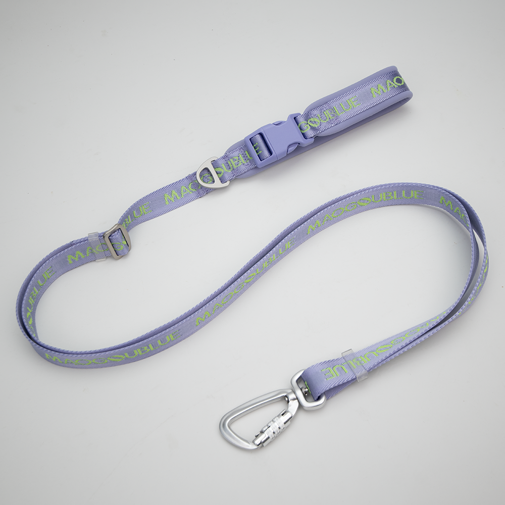 Multi-function Signature Dog Leash