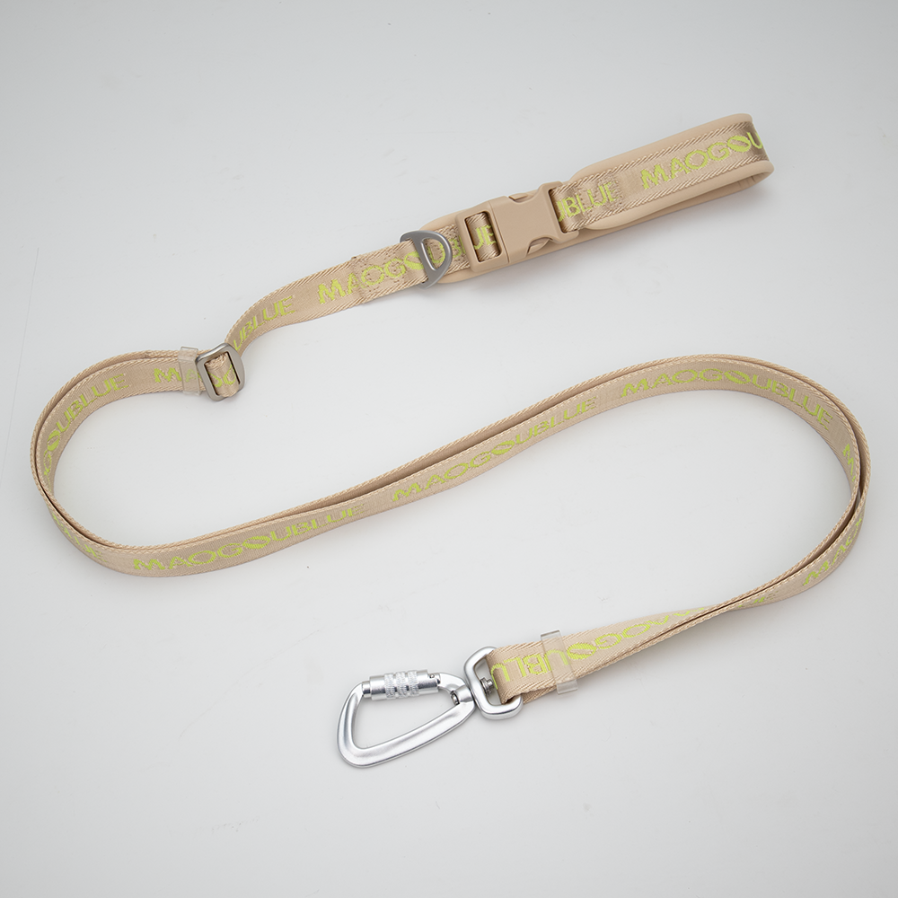 Multi-function Signature Dog Leash