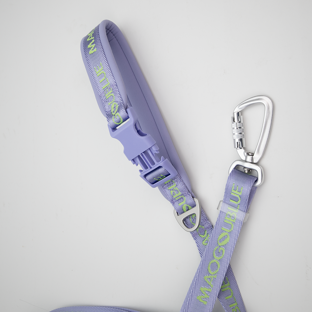 Multi-function Signature Dog Leash