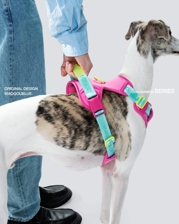Central Park Harness Kit