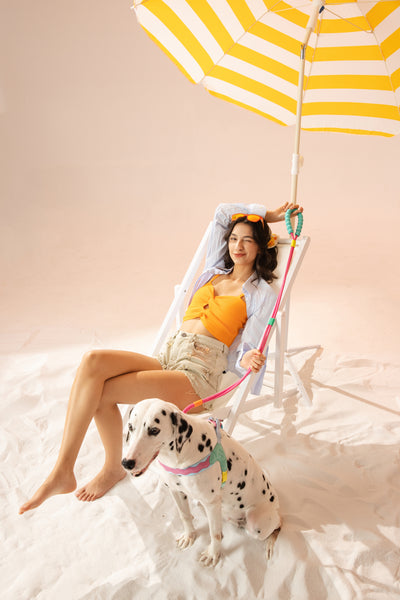 Marshmallow Smart Dog Leash Kit