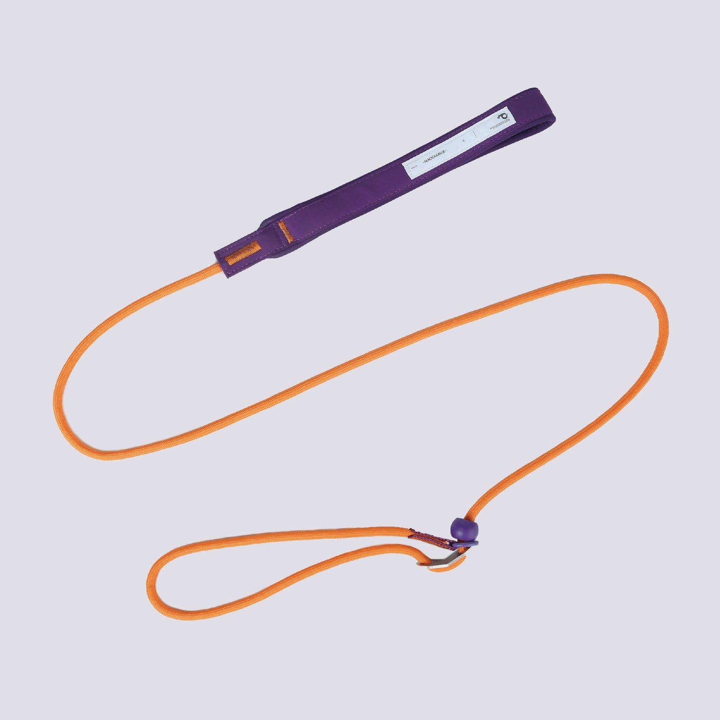 Dog Slip Lead Dog Leash