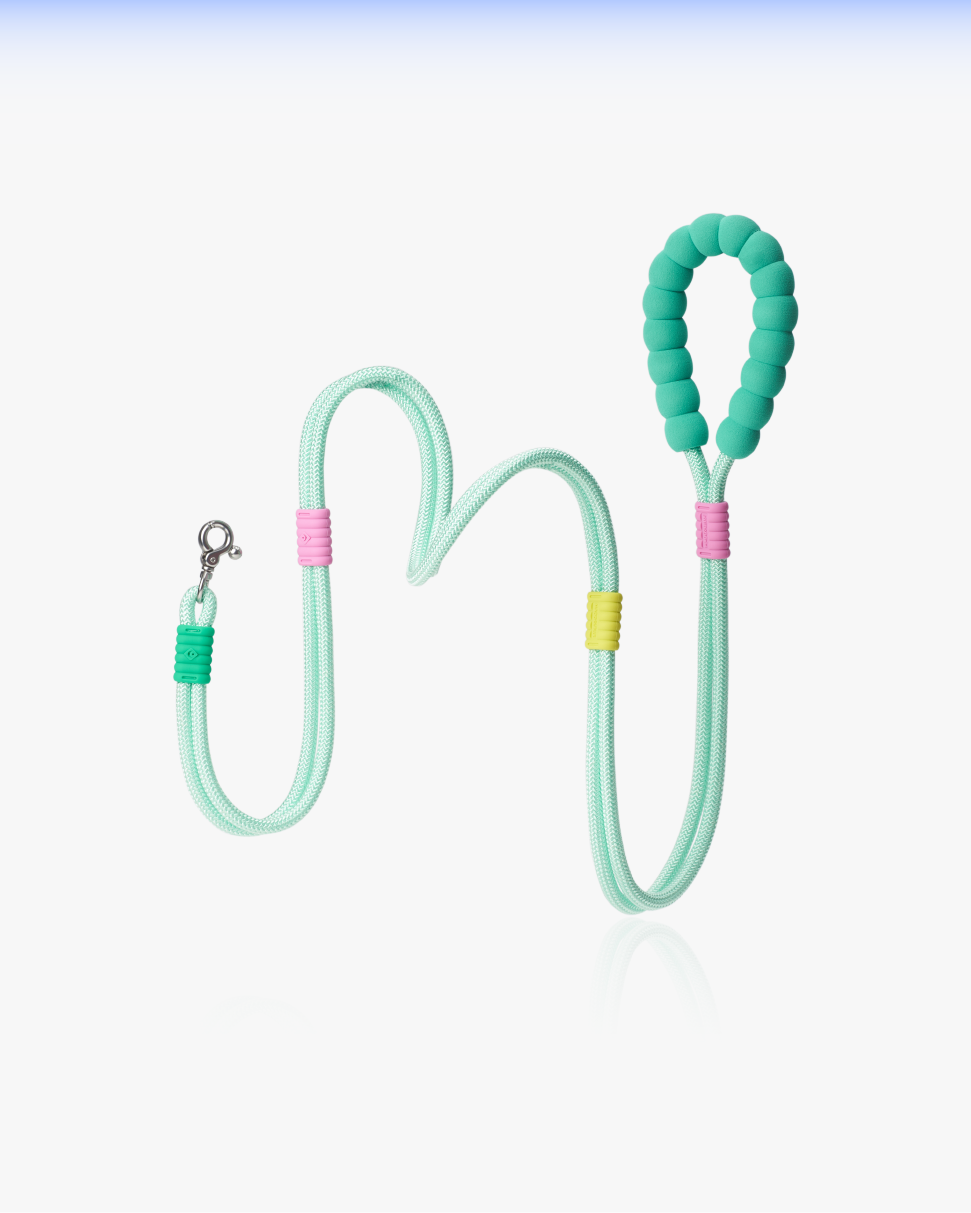 Marshmallow Smart Dog Leash