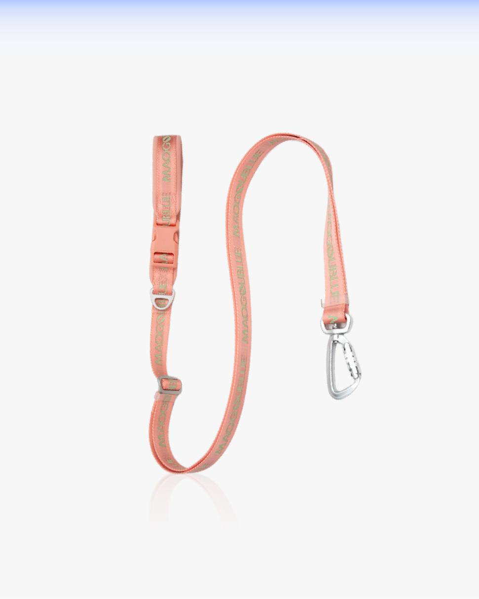 Multi-function Signature Dog Leash