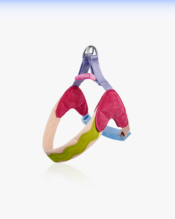 Island V Shaped Dog Harness