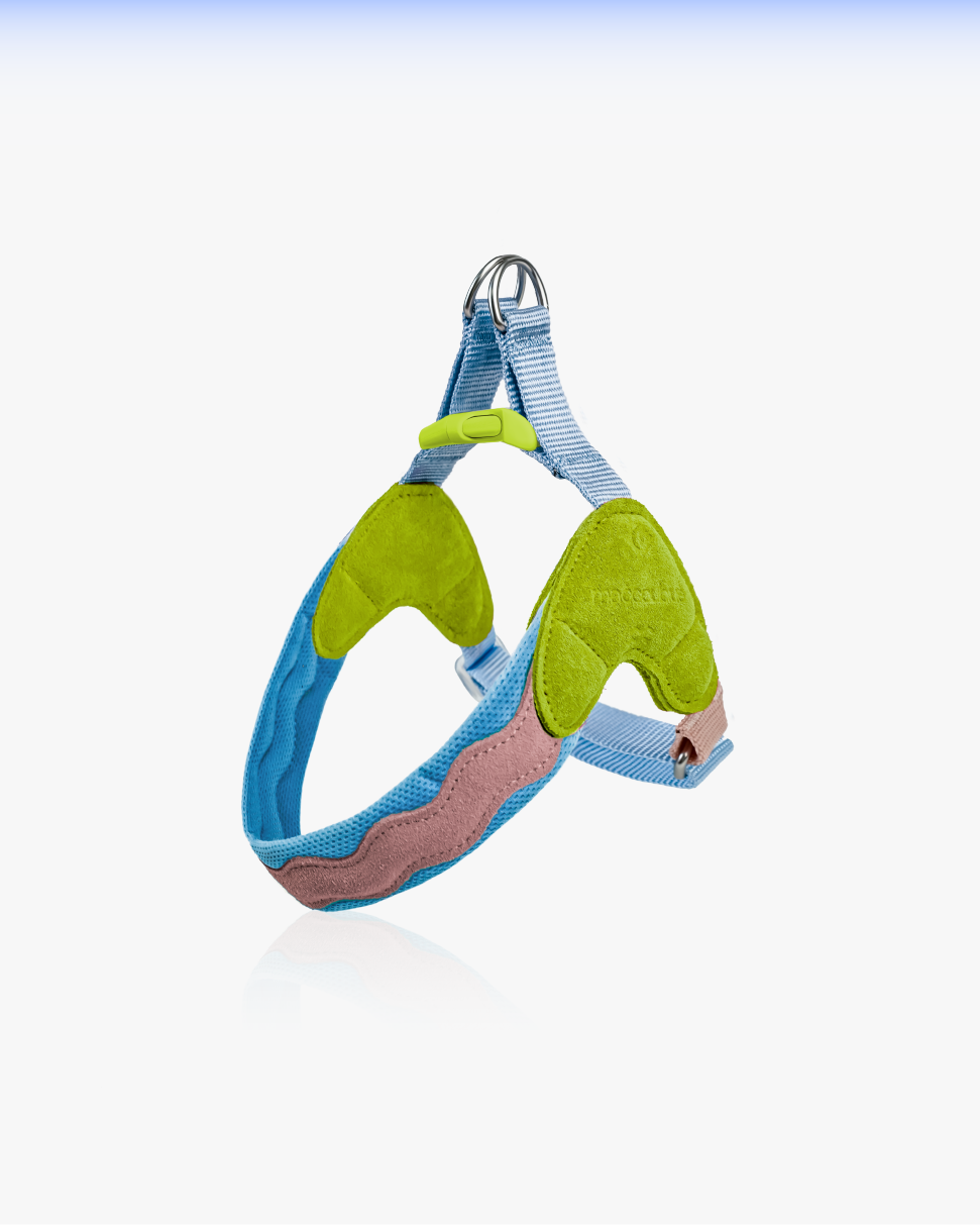 Island V-Shaped Dog Chest Harness