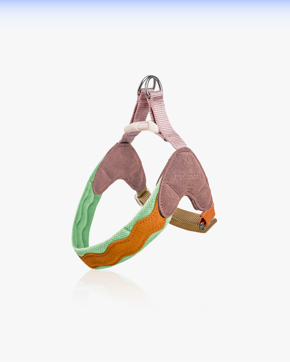 Island V-Shaped Dog Chest Harness