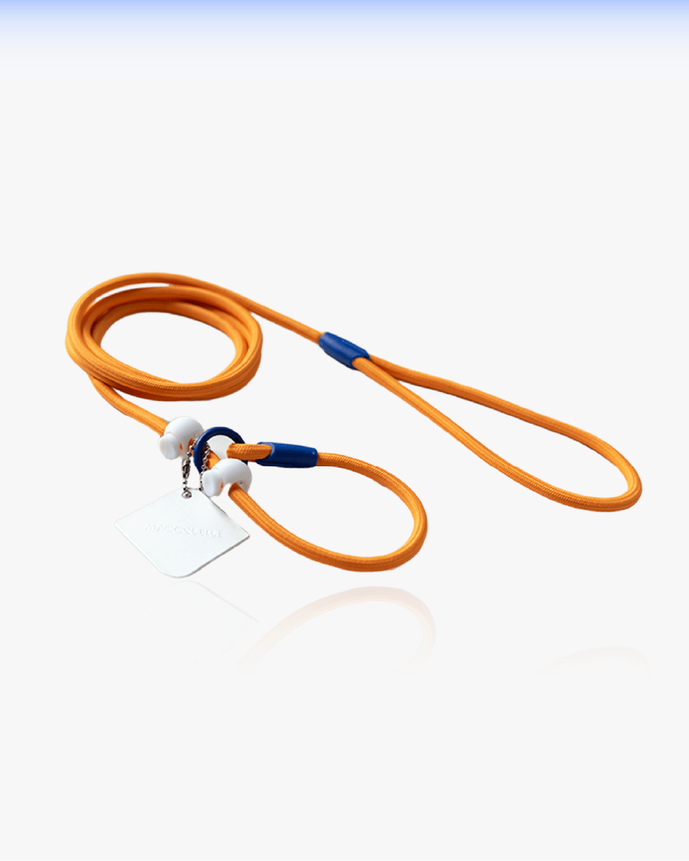 Slip Training Dog Leash