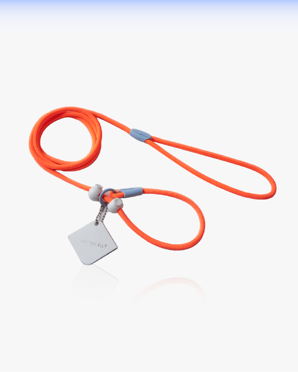 Slip Training Dog Leash