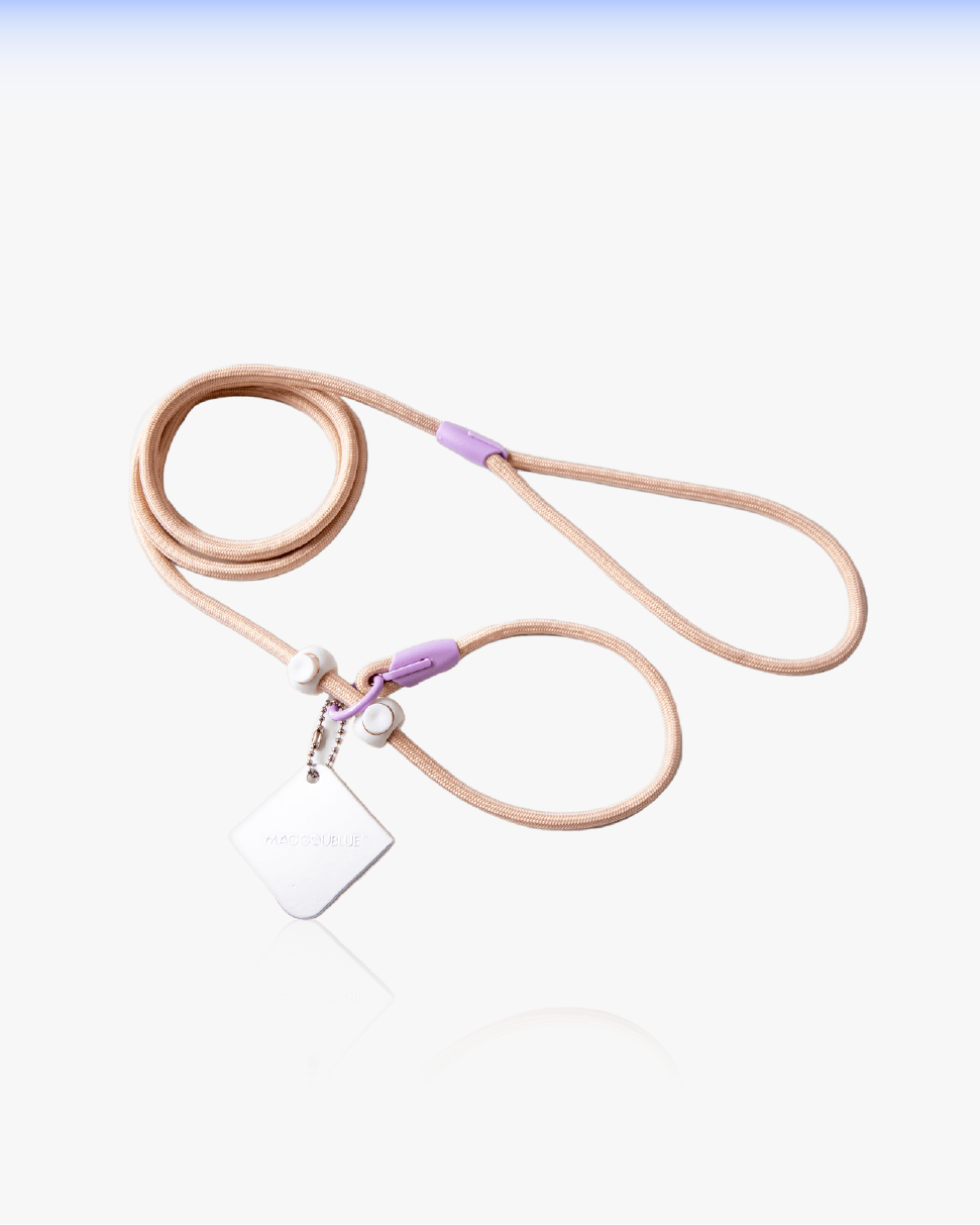 Slip Training Dog Leash