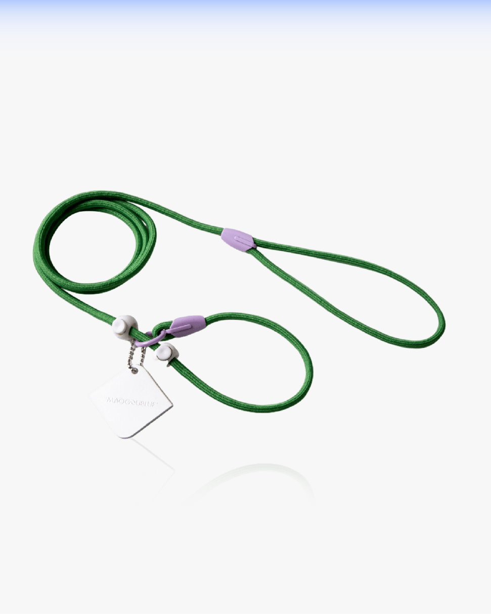 Slip Training Dog Leash