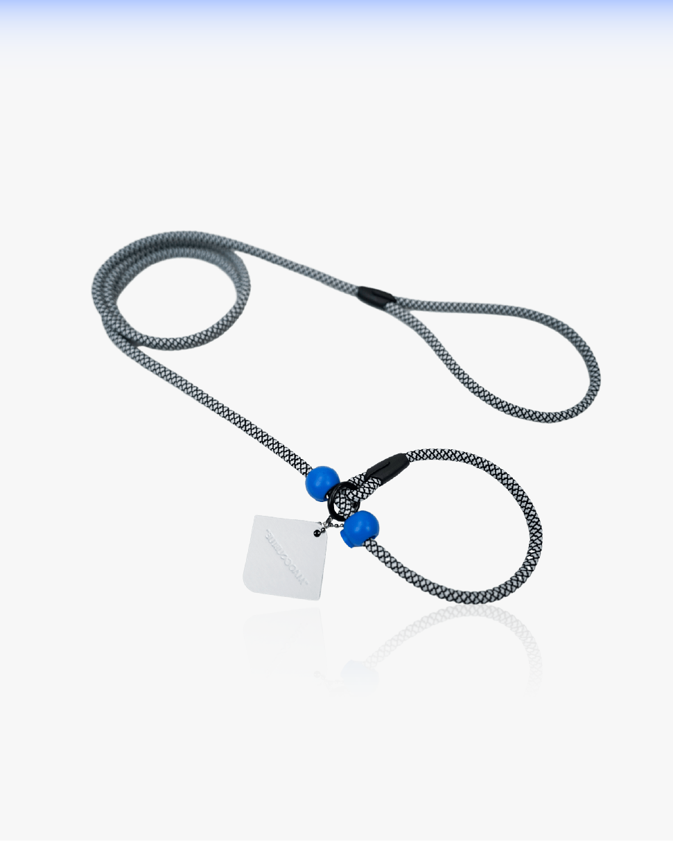 Slip Training Dog Leash