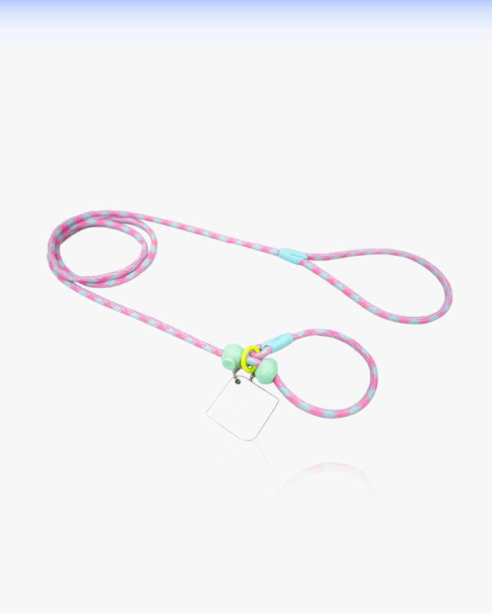 Slip Training Dog Leash