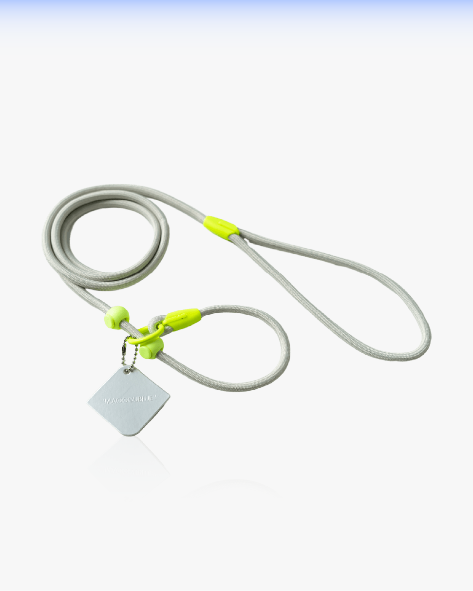 Slip Training Dog Leash