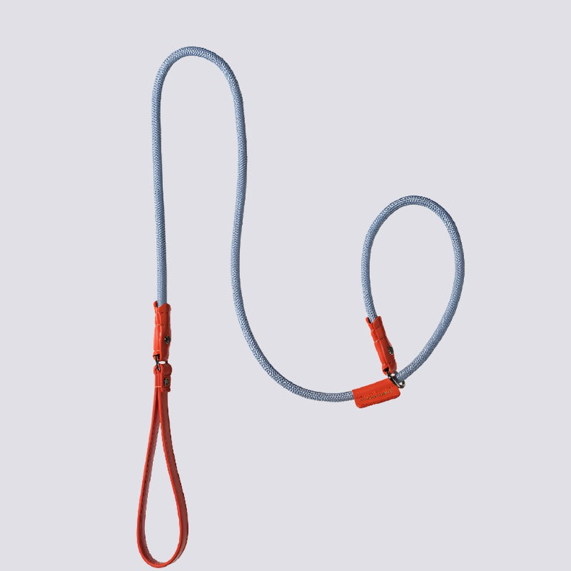 Slip No Pull Dog Leash with Leather Handle